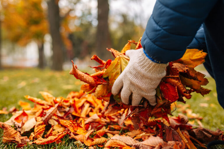 Seasonal landscaping tips