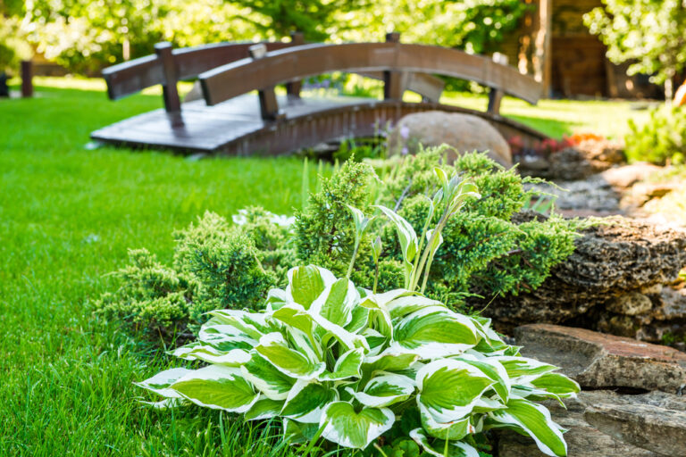 New Year landscaping resolutions